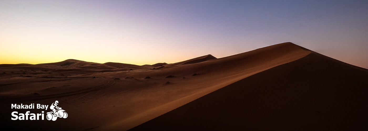 Blog Posts Visual25