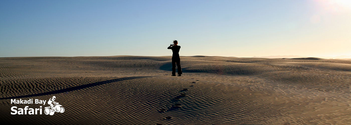Discover the Thrill of Makadi Bay Safari Adventures 4 Dec Blog Posts Visual14