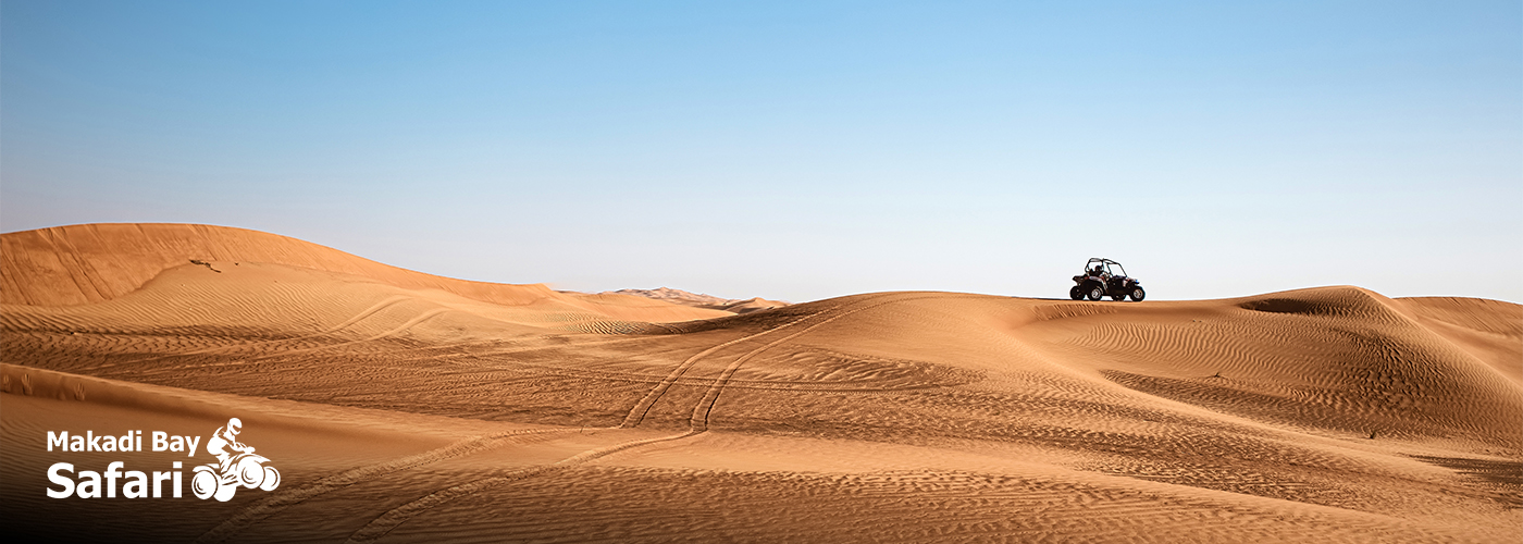 Experience the Magic of Makadi Bay Safari 4 Dec Blog Posts Visual16