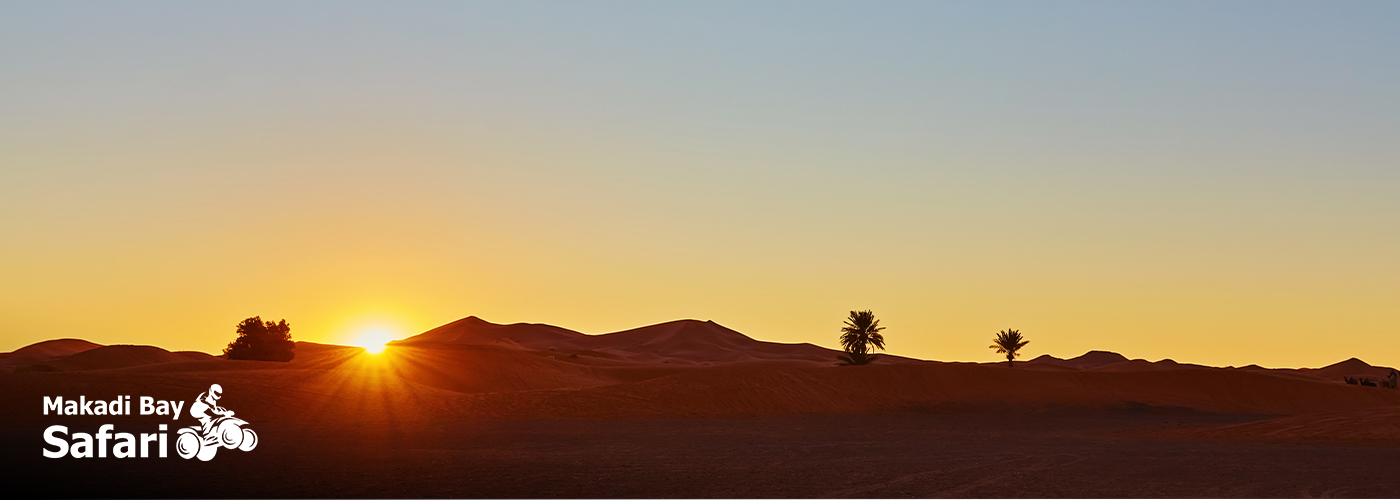 Makadi Bay Safari: A Luxury Desert Adventure 4 Dec Blog Posts Visual21