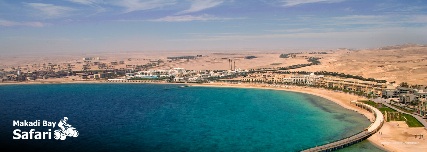 Experience the Magic of Soma Bay Sunset Safari Tours 4 Dec Blog Posts Visual24