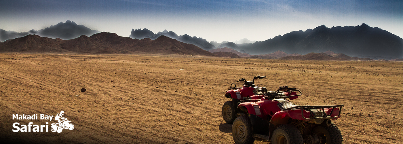 Romantic Adventures Await: Buggy Safari in Sahl Hasheesh at Sunset 4 Dec Blog Posts Visual25