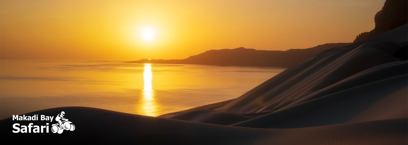 Chase the Sunset: Super Safari Trip from Makadi Bay 4 Dec Blog Posts Visual29