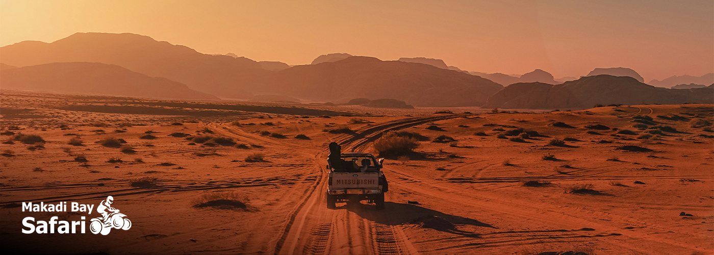 Nov Blog Posts Visual1