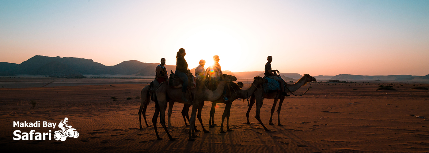 Nov Blog Posts Visual11