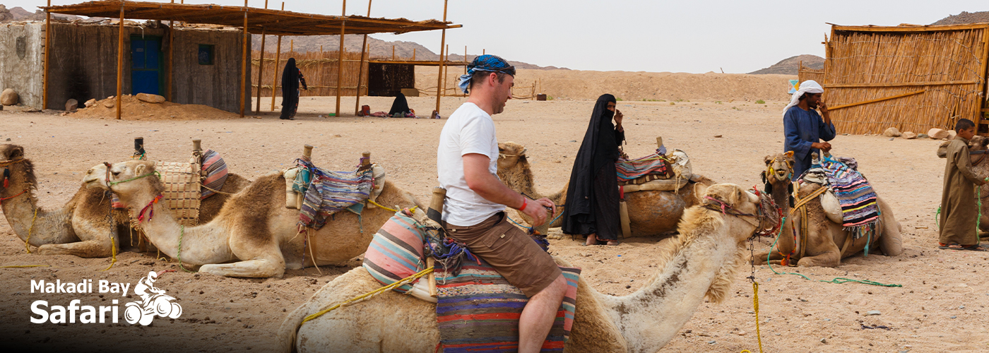 🌞 Why Choose Makadi Bay Safari? 4 Nov Blog Posts Visual14