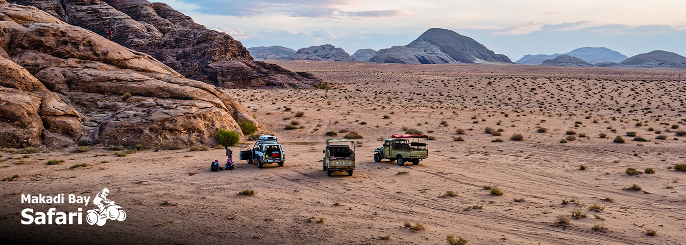 🌍 Jeep vs. Walking Safaris 4 Nov Blog Posts Visual16