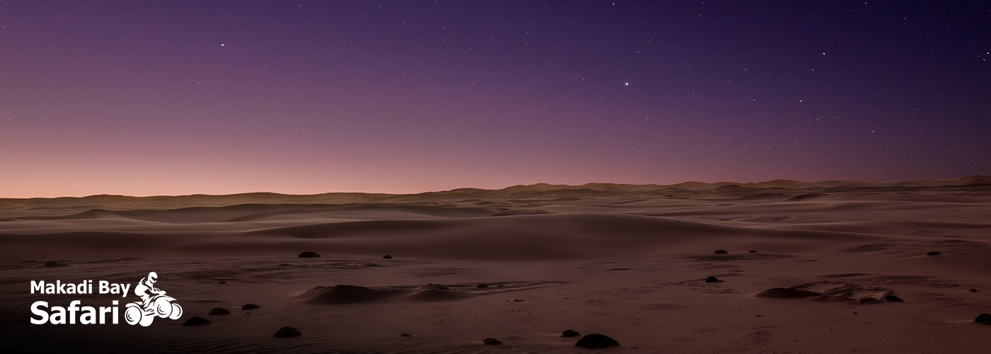 🌌 Night Safari Thrills 4 Nov Blog Posts Visual17