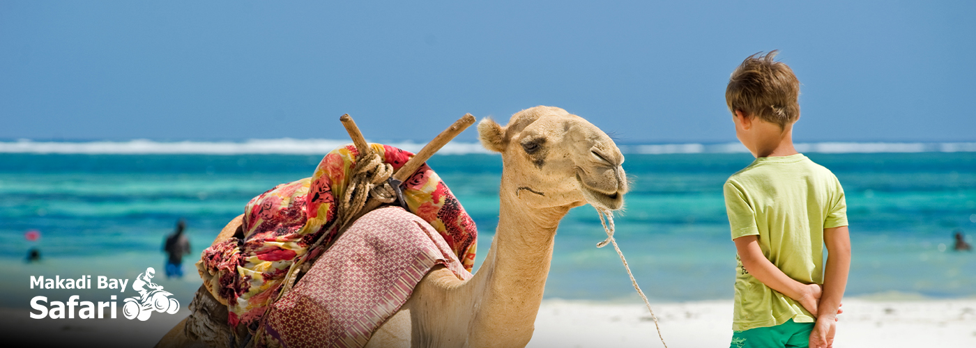 Nov Blog Posts Visual19