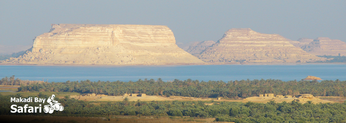 🌵 “Escape the Crowds – Find Peace in Egypt’s Desert Oasis!” 4 Nov Blog Posts Visual25 1