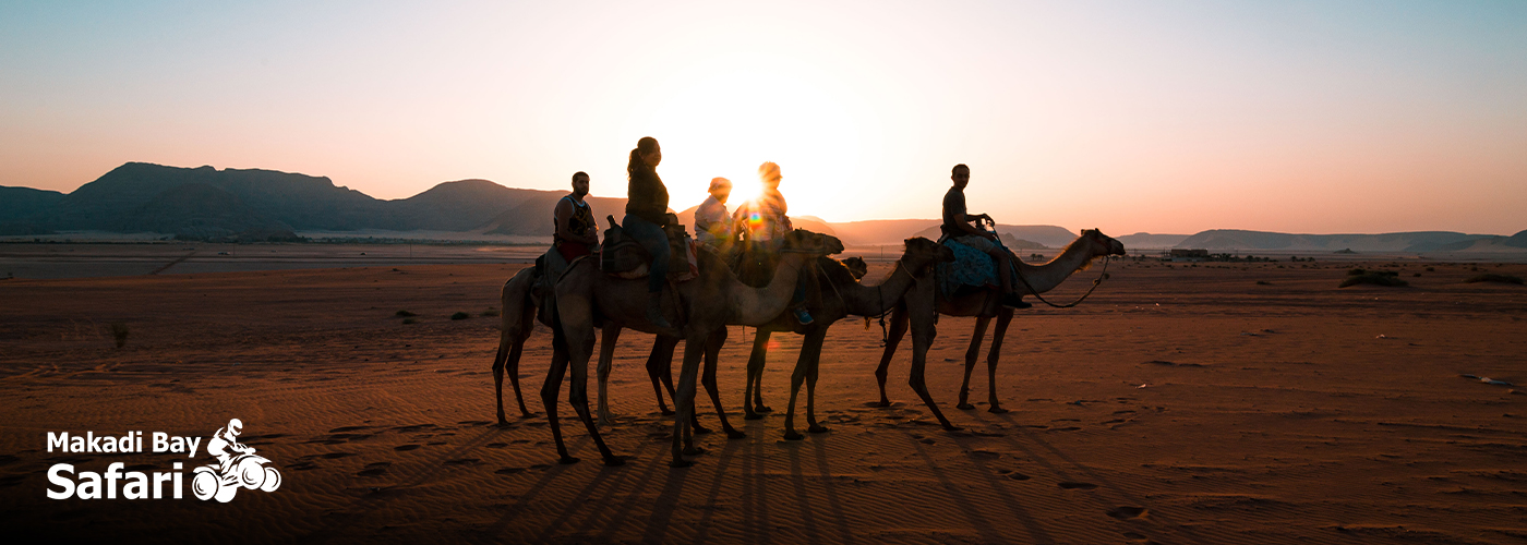 🐪 “Ride Like a Nomad: Authentic Camel Safaris in Makadi Bay!” 4 Nov Blog Posts Visual26