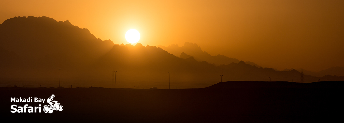 Nov Blog Posts Visual27