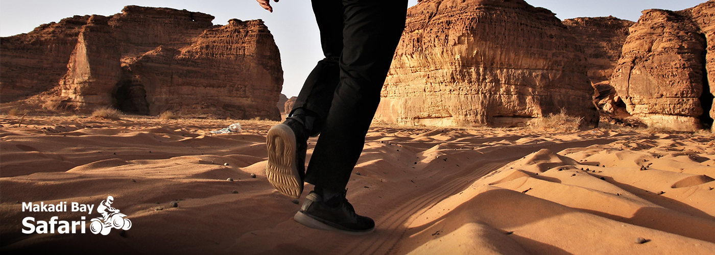 The Beauty of Simplicity: A Walk Through Golden Sands 🌞🏜️ 4 Nov Blog Posts Visual28