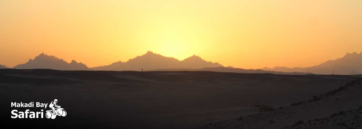 Sunset Magic in Makadi Bay 🌞🌿 4 Nov Blog Posts Visual29