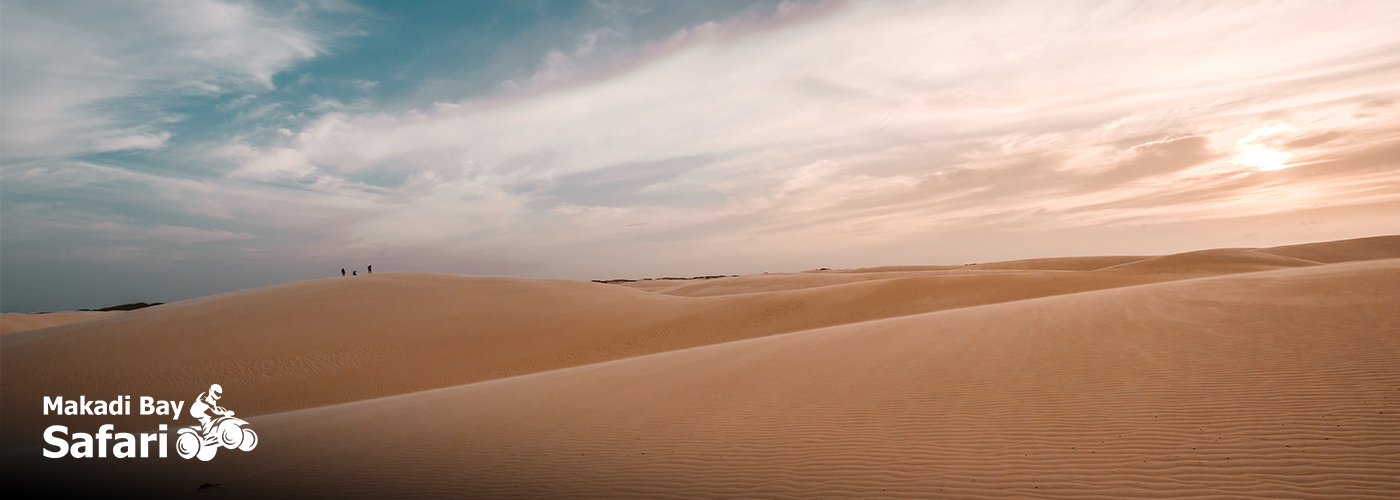 Nov Blog Posts Visual30