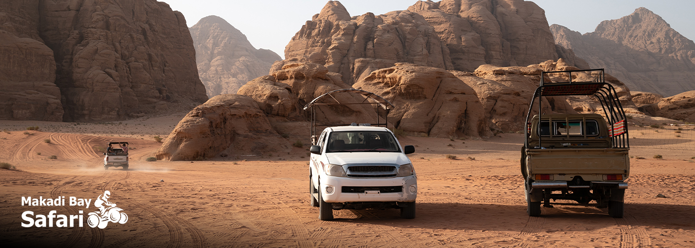 ✨ Private Safari Tours Available 4 October Blog Posts Visual27