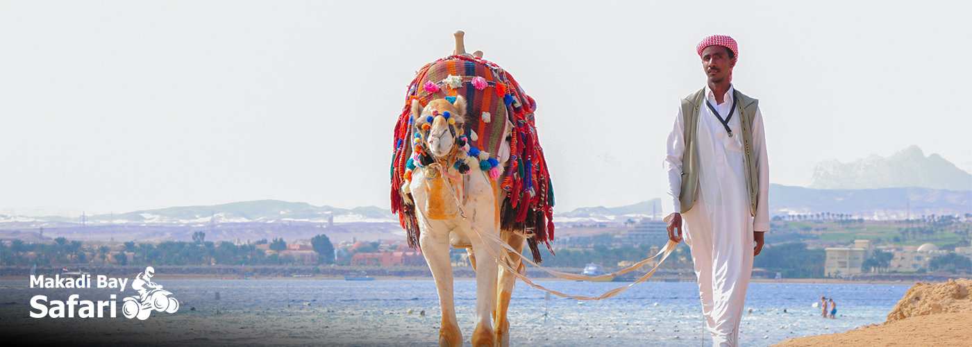 đȘ Ride Like the Bedouins 4 October Blog Posts Visual7