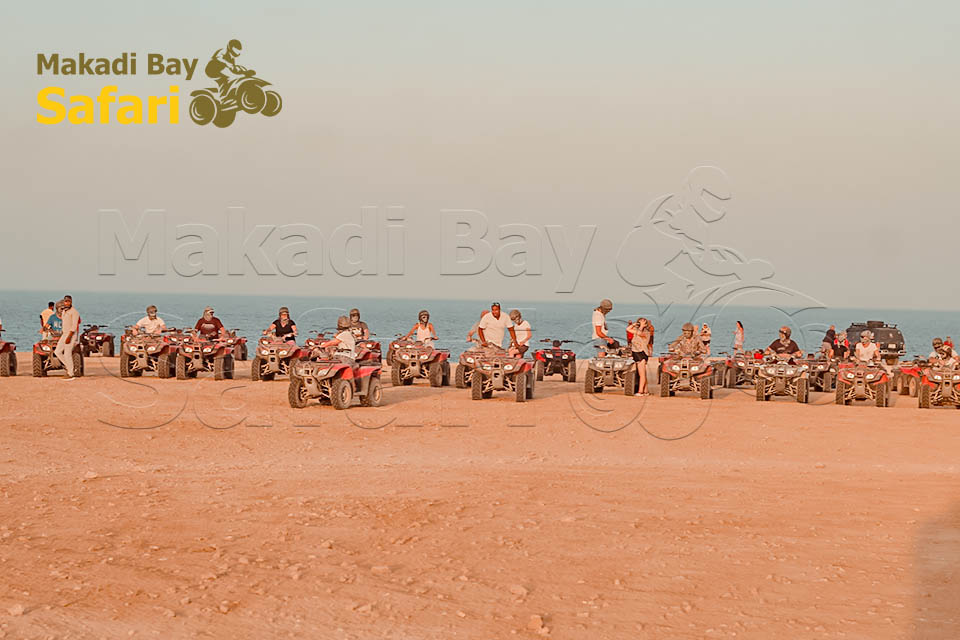 Morning Quad Bike Tour From Makadi Bay