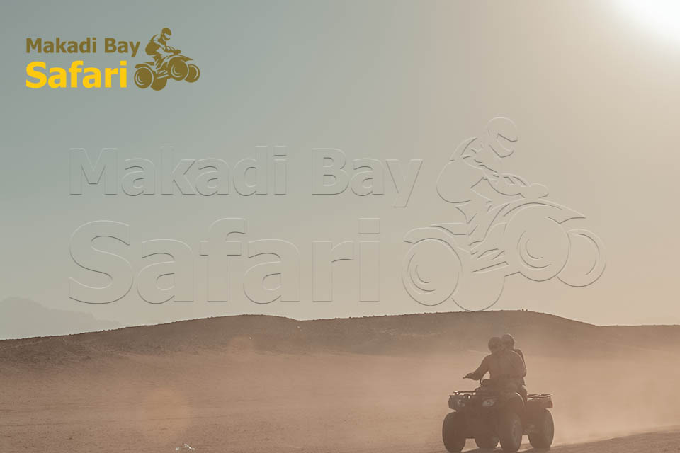 Makadi Bay Sunset Desert Safari Trip by Quad Bike