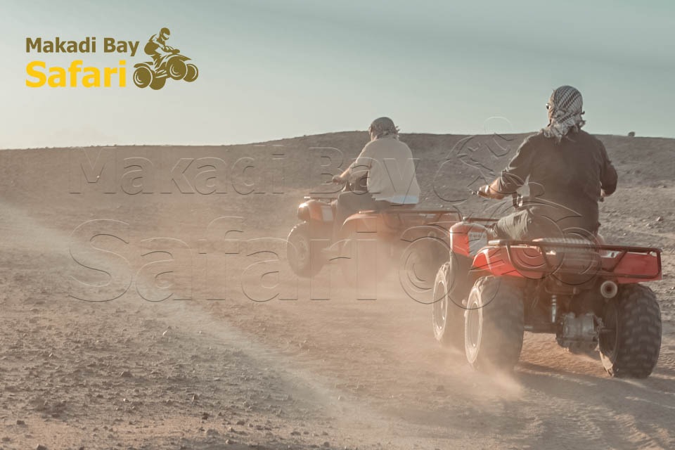 Quad Bike Trip to Sahara Park From Makadi Bay