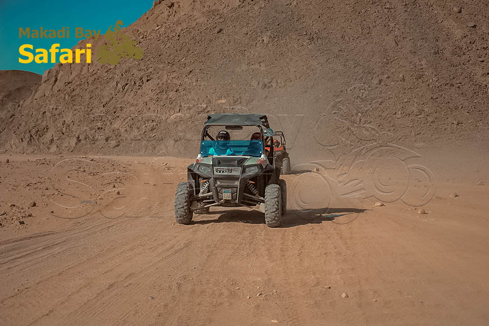 Makadi Bay Morning Dune Buggy Adventure