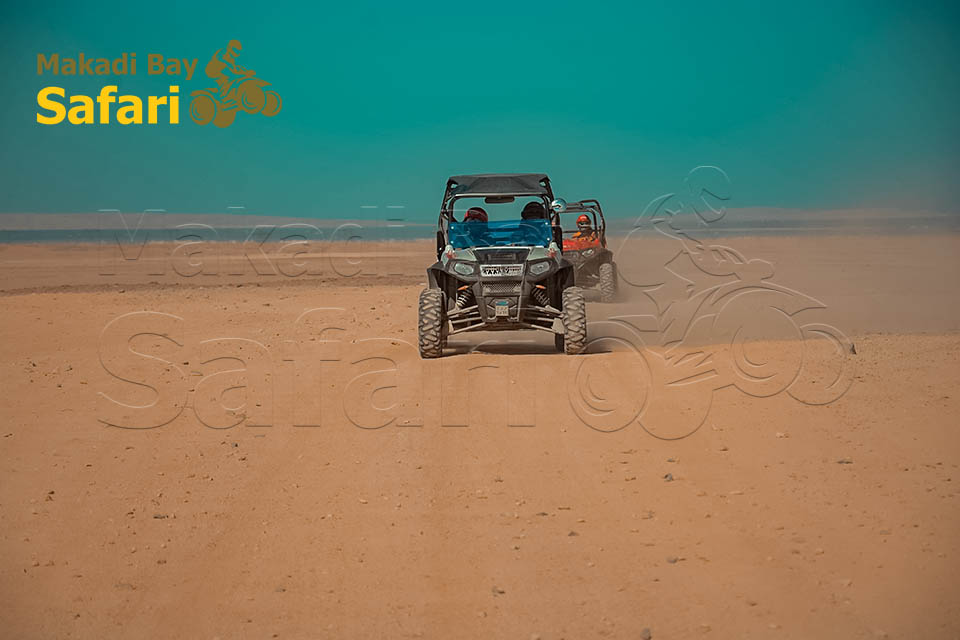 Makadi Bay Morning Dune Buggy Adventure