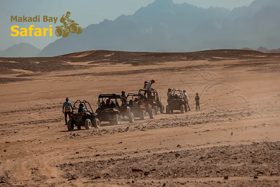 Sunset Dune Buggy Safari From Makadi Bay