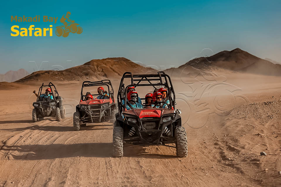 Makadi Bay Dune Buggy Journey to Sahara Park