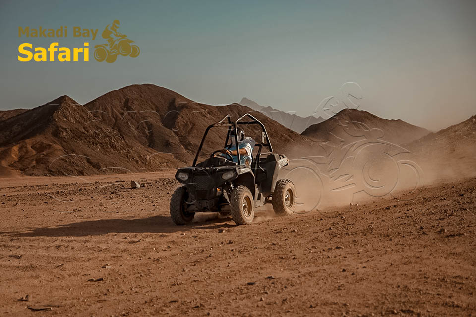 Makadi Bay Dune Buggy Journey to Sahara Park