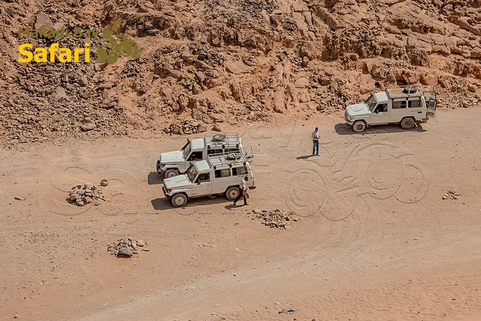 Private Jeep Safari to Sahara Park From Makadi Bay