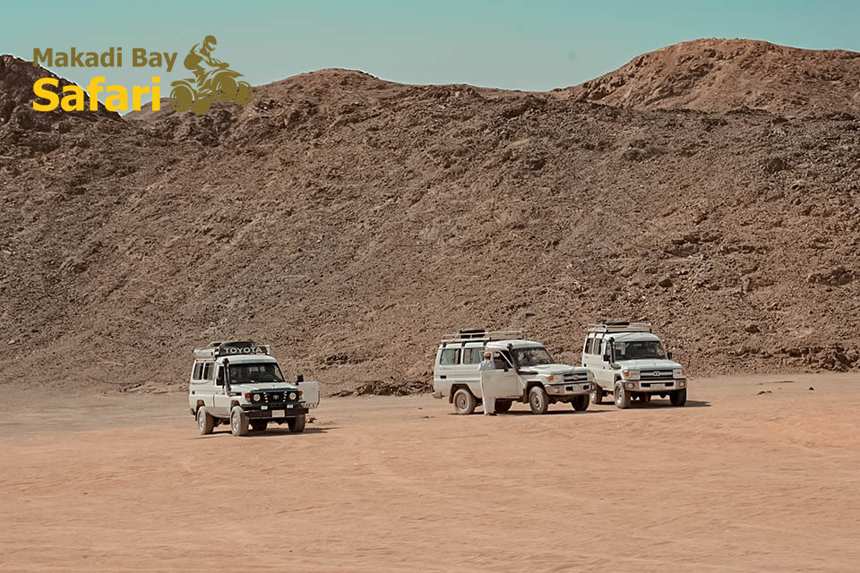 Private Jeep Safari to Sahara Park From Makadi Bay