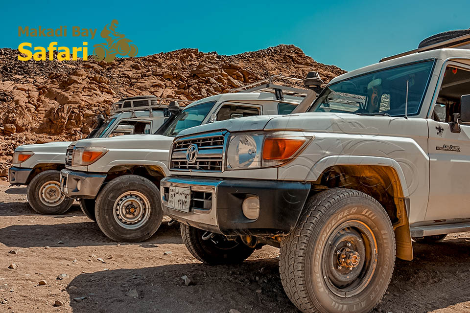Private Jeep Safari to Sahara Park From Makadi Bay