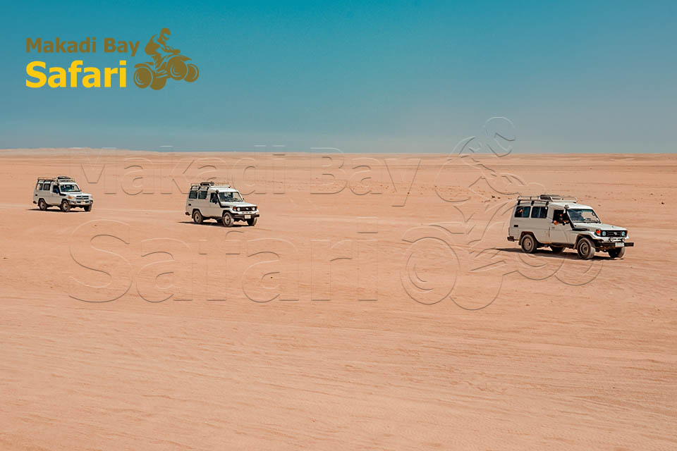 Private Jeep Safari to Sahara Park From Makadi Bay