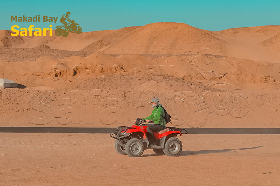 Private Sahara Park Quad Bike Trip From Makadi Bay