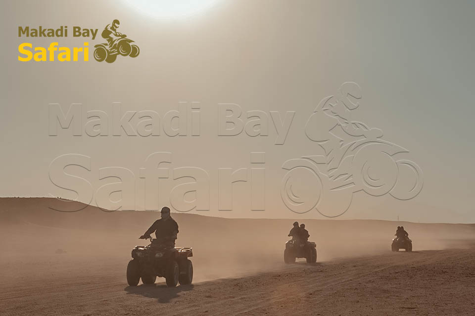 Private Sahara Park Quad Bike Trip From Makadi Bay
