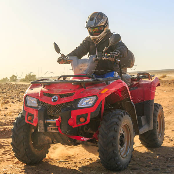 El Gouna Buggy Safari