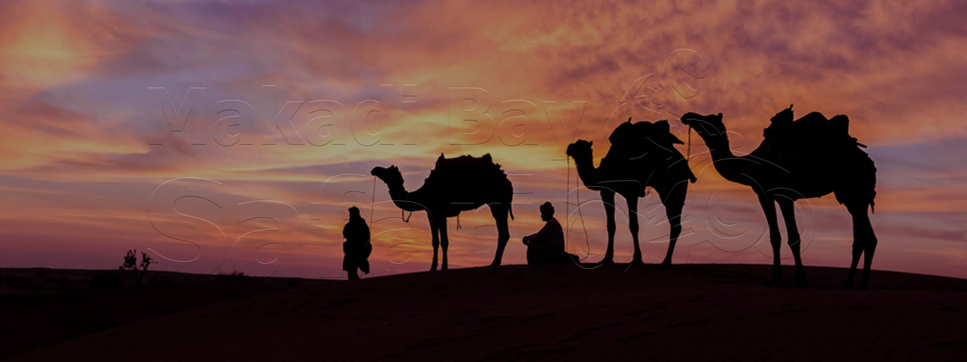 El Gouna Desert Safari Excursions