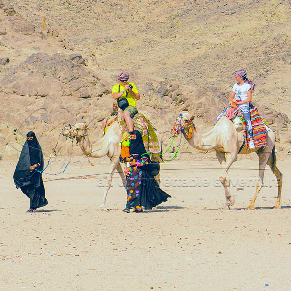 Hurghada Safari Tours