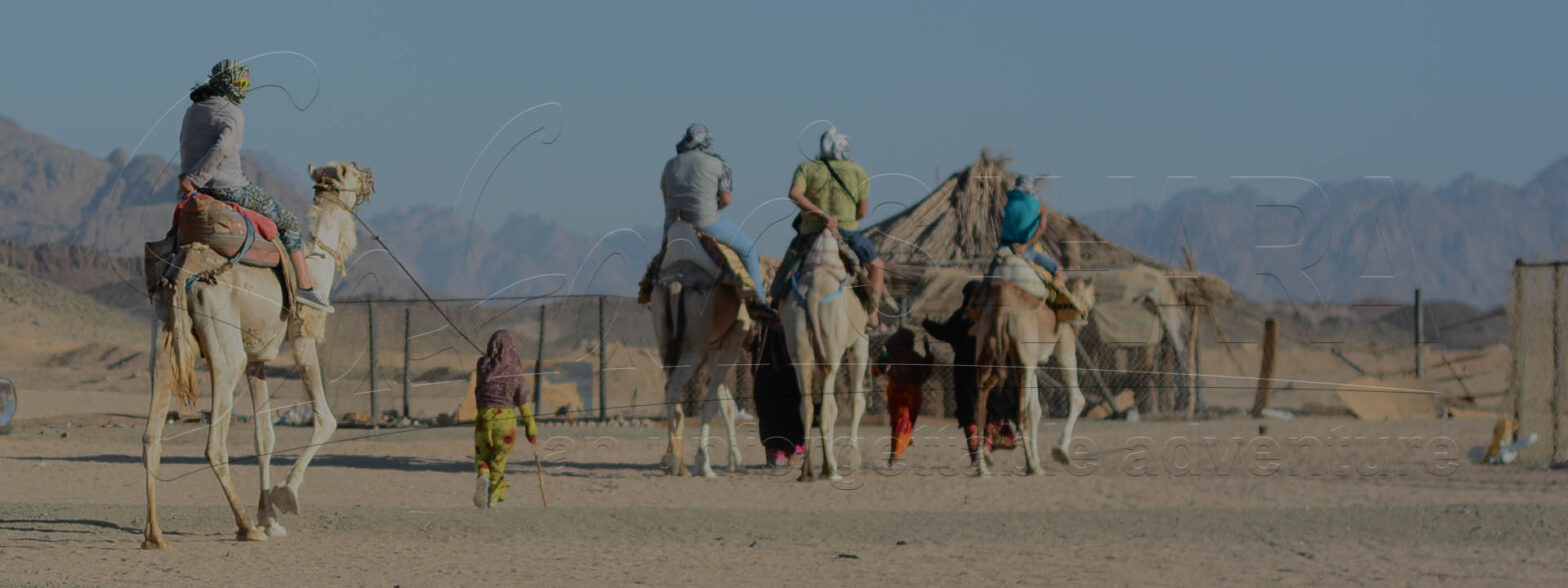Makadi Bay Desert Safari Tour