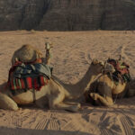 Makadi Bay Sunset Desert Safari c 1