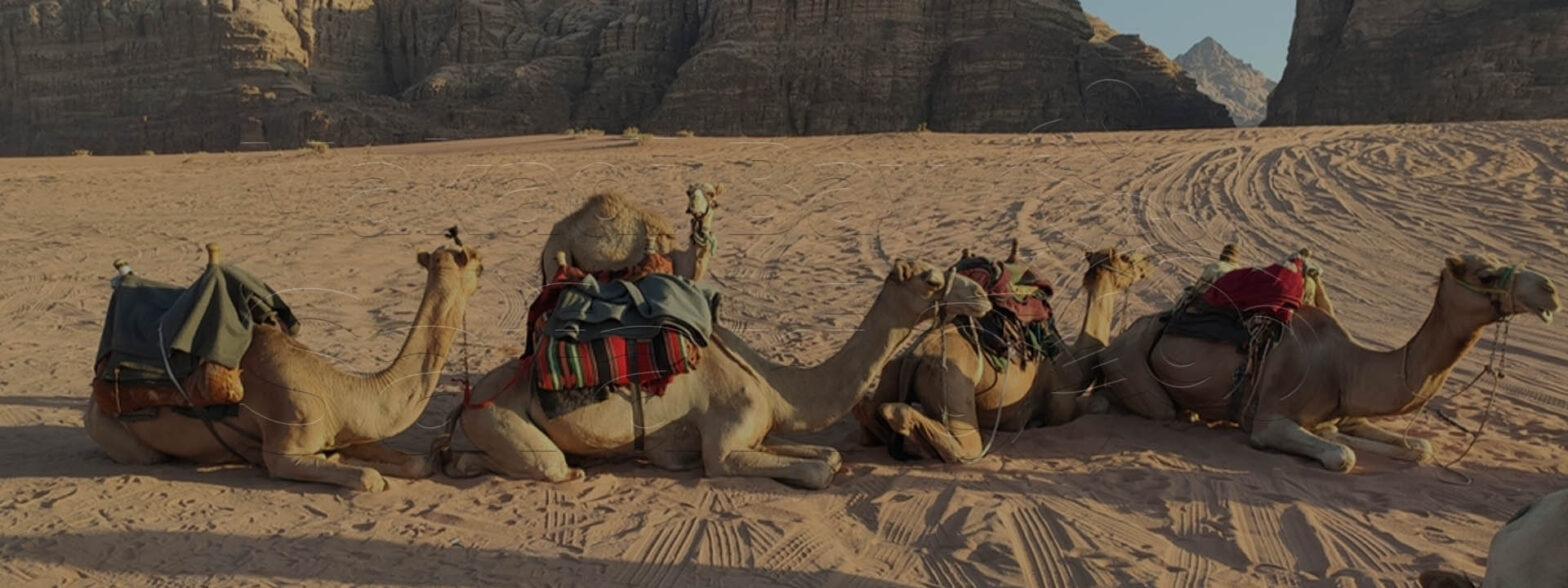 Makadi Bay Sunset Desert Safari c 1