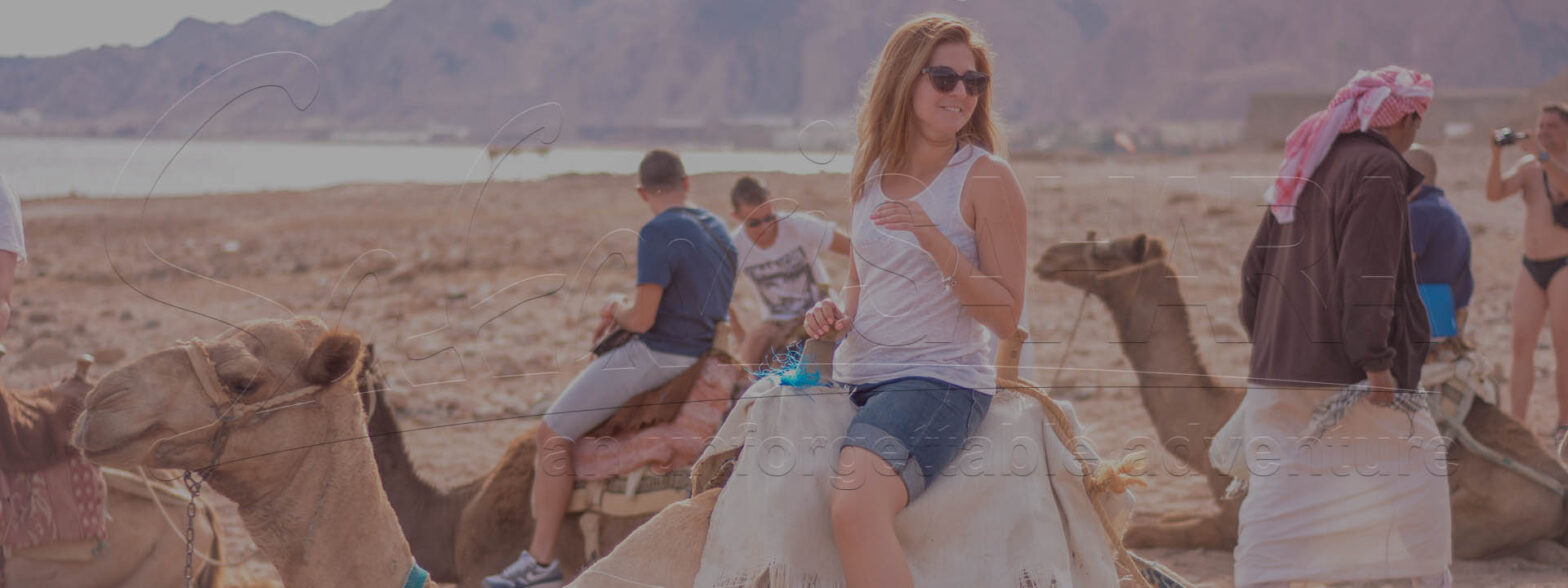 Safari Trips Sharm El Sheikh