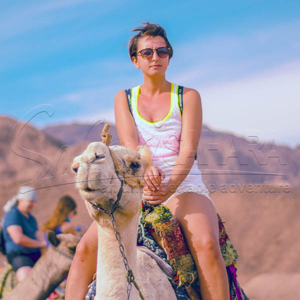 Sharm El Sheikh Sunset Desert Safari
