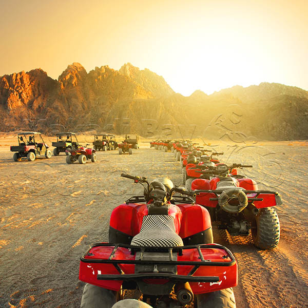 Soma Bay Buggy Safari Excursions