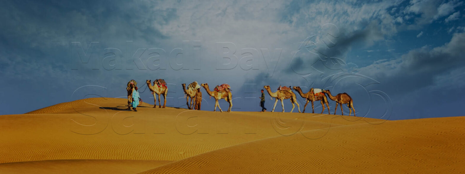 Soma Bay Desert Safari Trips