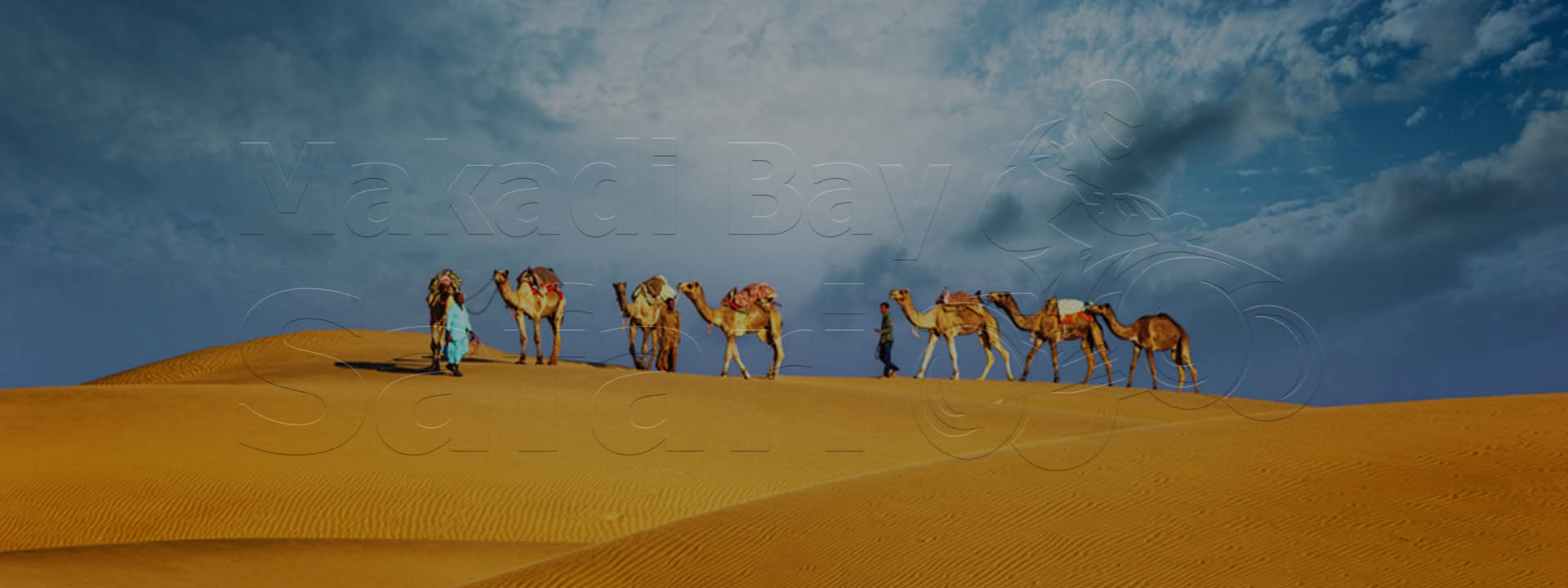Soma Bay Desert Safari Trips